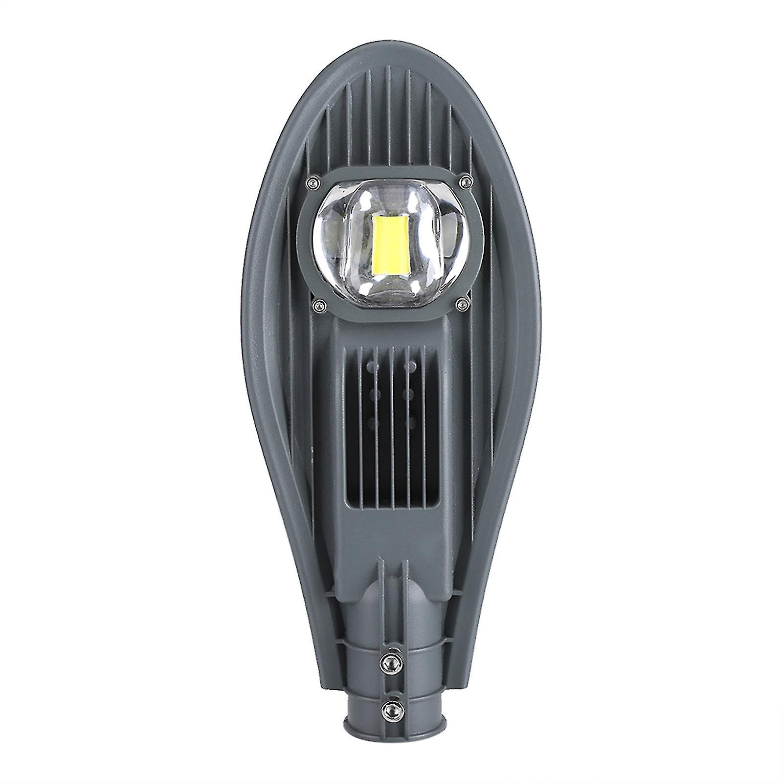 LED floodlight for outdoor garden and street lighting, 85-265 V (30 W, cool white)