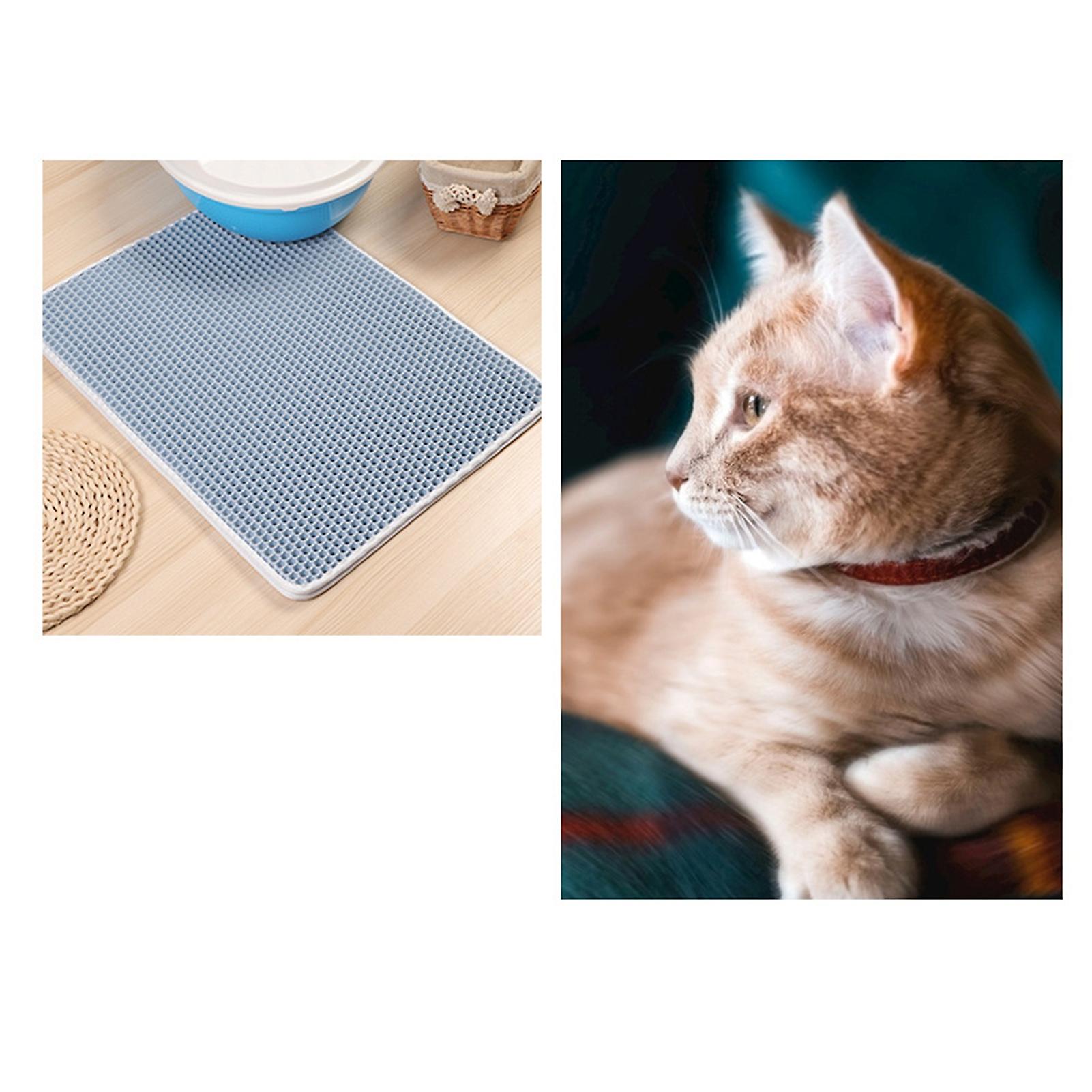 Cat Litter Mat Double Layer Waterproof Slip Resistant Easy Clean Kitty Litter Trapping Mat 45x60cm Baby Blue