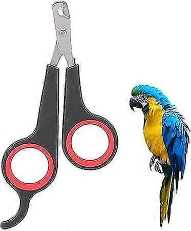 Bird Nail Scissors Grooming Tools Small Parrot Bird Accessories