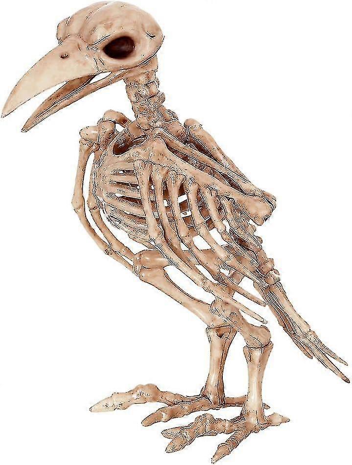 Raven Skeleton Prop. - Costume Accessory