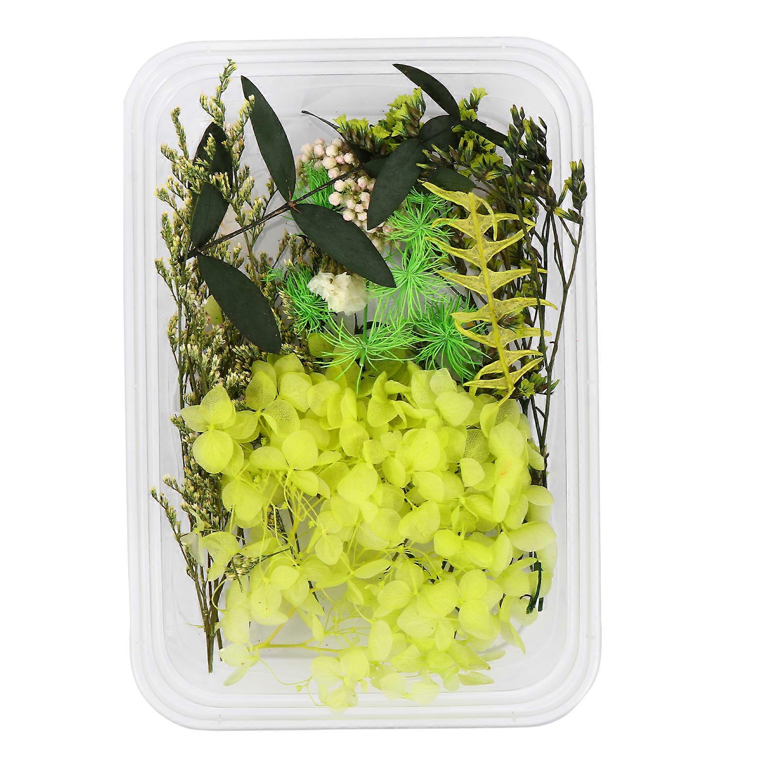 1 Set DIY Handcrafts Making Materials Scented Dried Flowers Dried Flower DIY