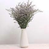 عشب عيد الحب المجفف الطبيعي & Forget Me Not باقة للديكور