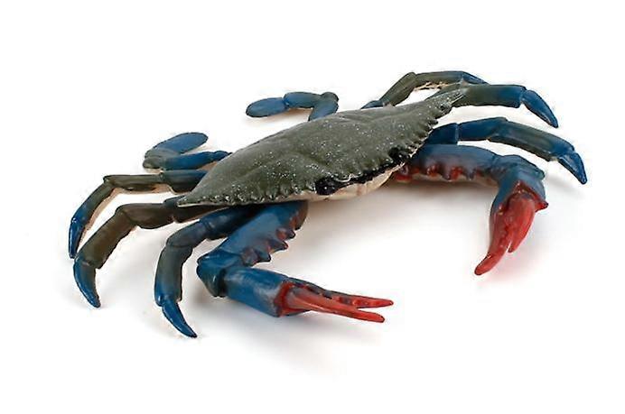 グリーンカニおもちゃの教育シミュレーション動物海洋生物モデル現実的な贈り物は子供たちが学ぶ小道具