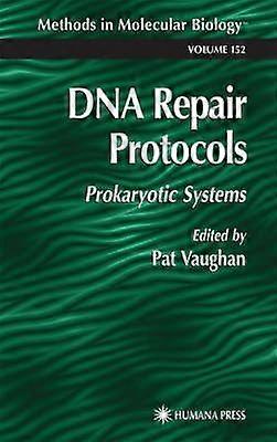 DNS-javítási protokollok
