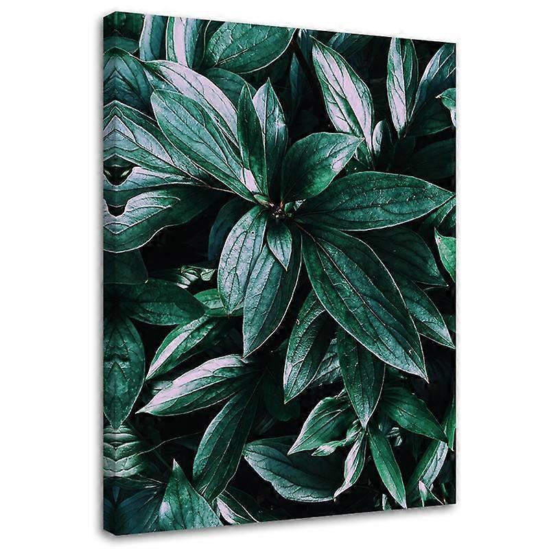 Lienzo, Hojas de plantas tropicales - 70x100