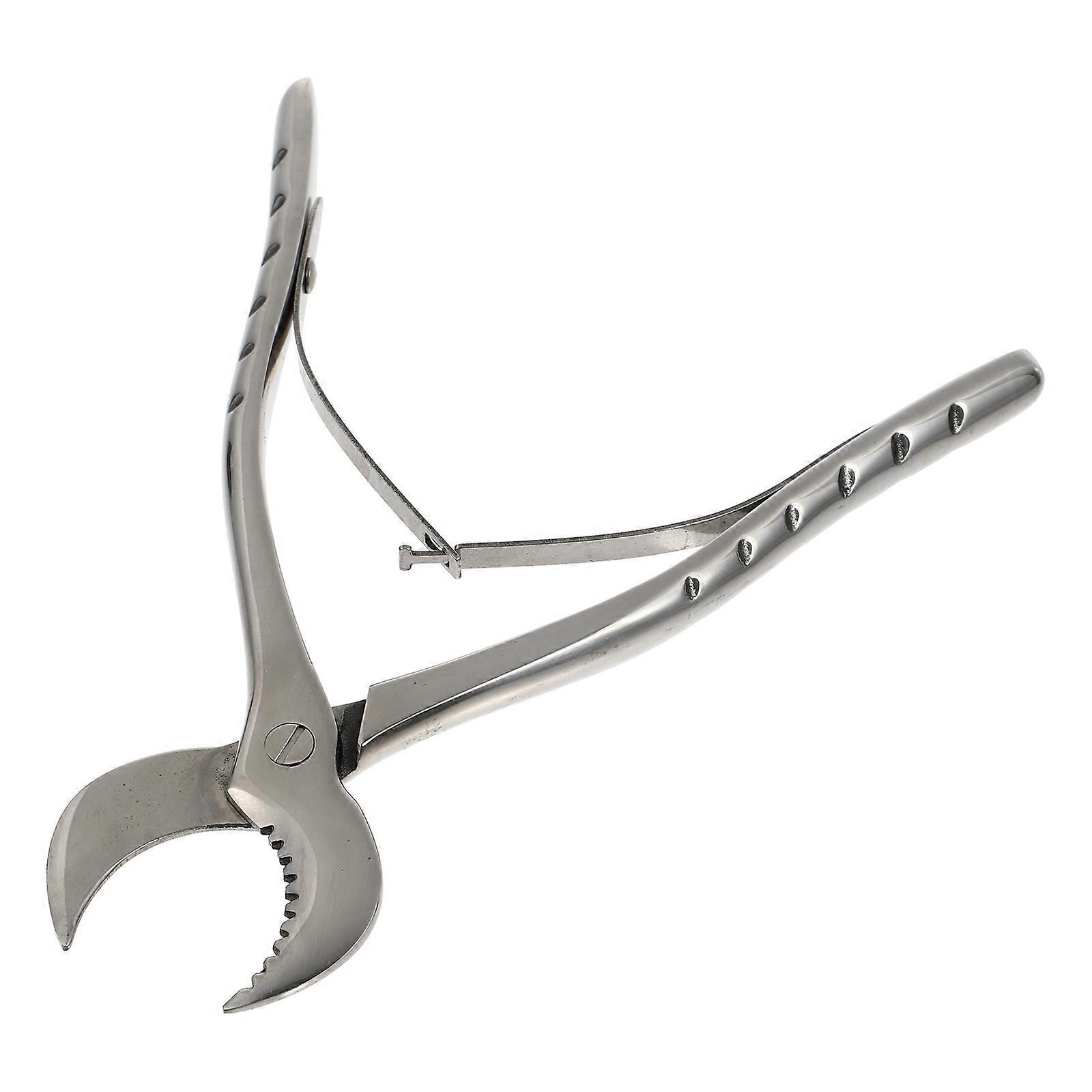Durable Stainless Steel Plier for Outdoor Use with Comfort Grip and Pointed Tip, Silver, 1 Piece
