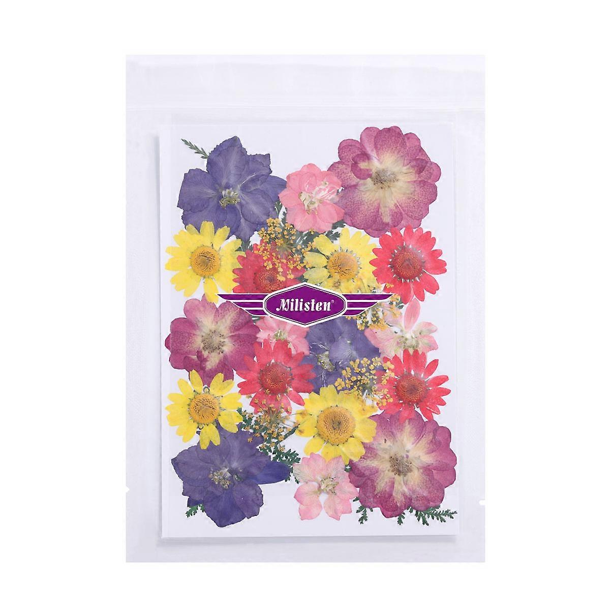 Dried Flower Craft Material 1 Pack Embossing Specimen For DIY Projects Ideal For Christmas Weddings And Parties Assorted Color