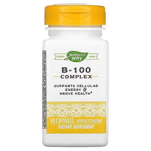 Nature's Way, B-100 Complex with B2 Coenzyme, 60 Capsules