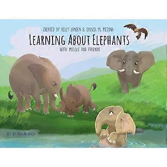 Learning About Elephants - Paperback Environmental Heroes Series - Sylvia M. Medina