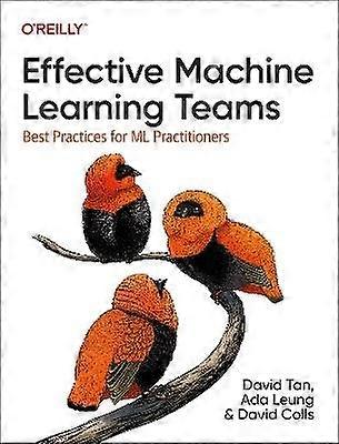 Effective Machine Learning Teams