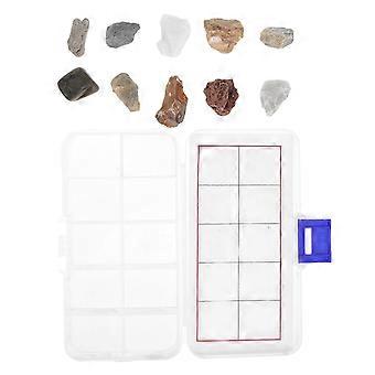 Rock Specimens Kids Geology Kit for Educational Classroom Science 1Set