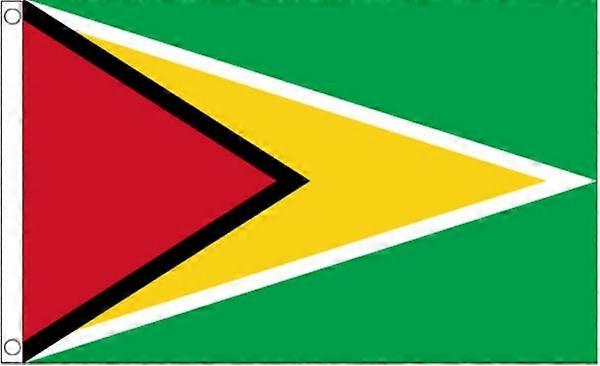DRAPEAU DU GUYANA HGD637
