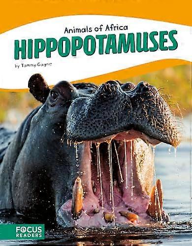 Hippopotamuses