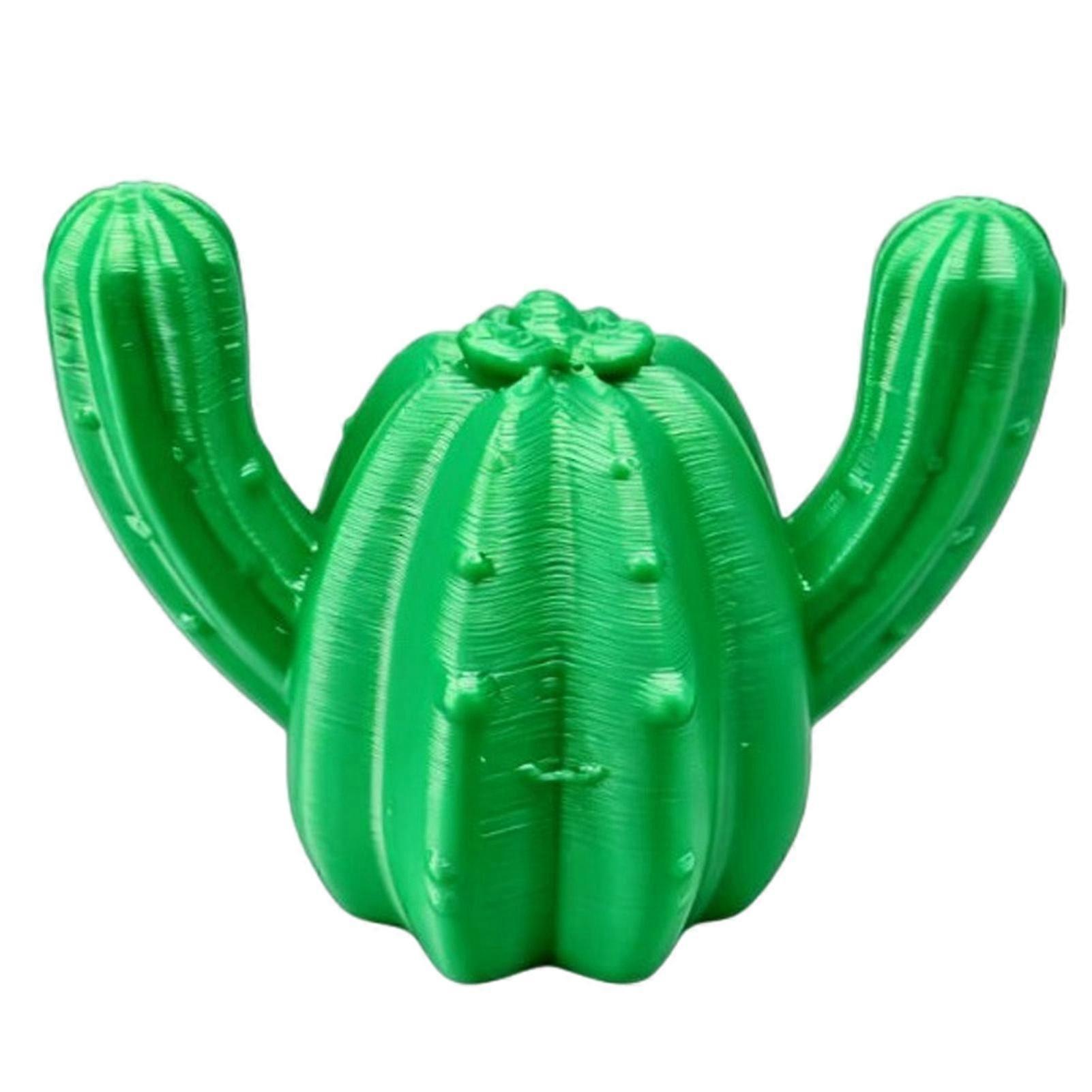 Eco Cactus Photo Stand Compact
