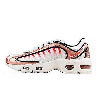 Nike Air Max Tailwind 4 'Metallic Bronze' Women's CT3427-900