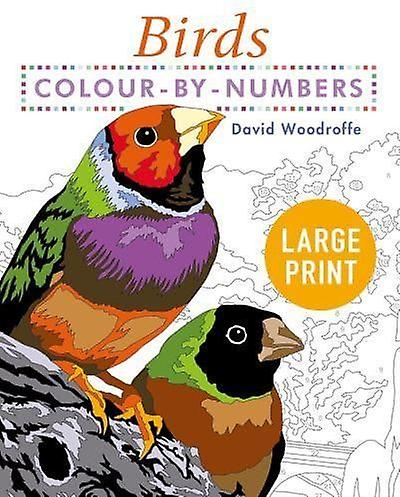 Large Print Colour By Numbers Birds by David Woodroffe Paperback