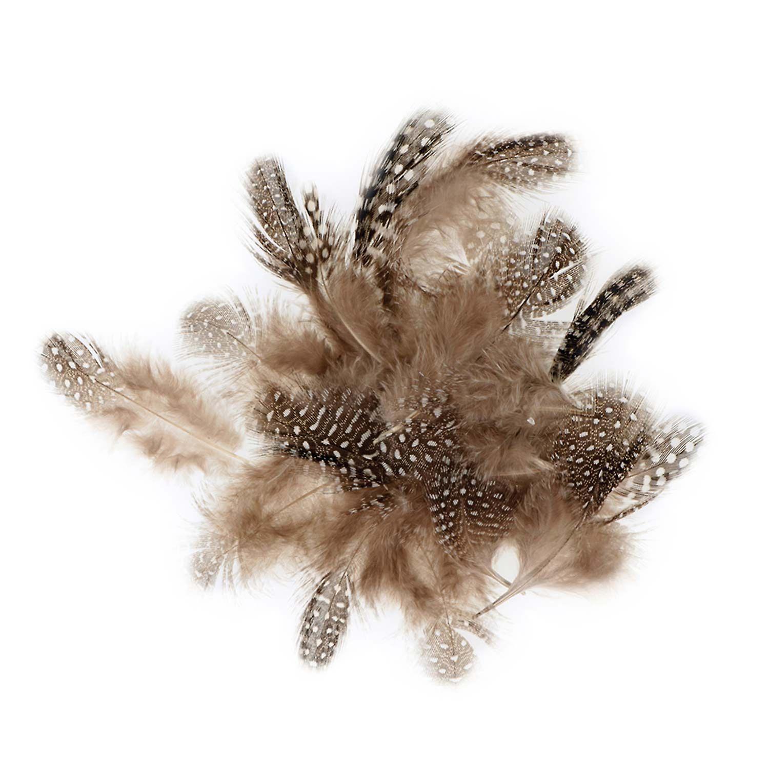 Guinea fowl decorative feathers 3 g