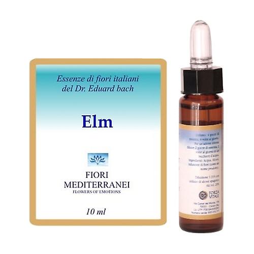 FM Elm (Elm) 10 ml of floral elixir