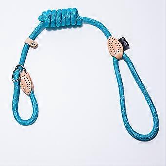 Huisdier kat en hond lederen kraag telescopische hond touw huisdier tractie riem blauw 0,8 * 120CM