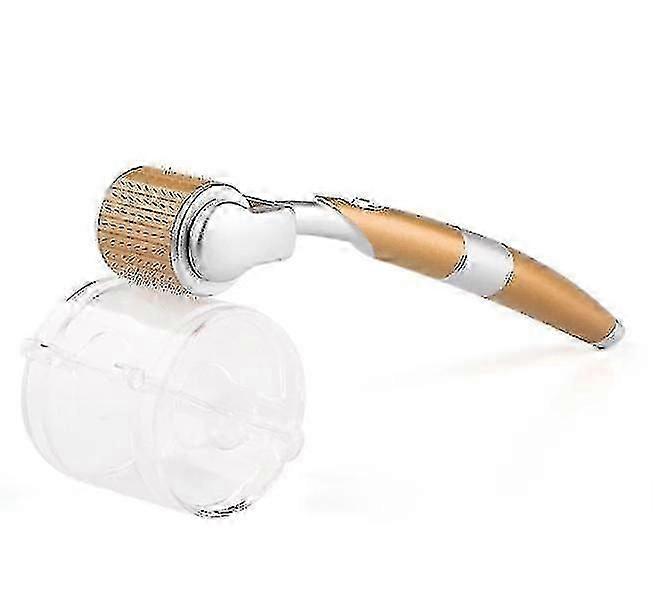 Zgts 192 Derma Roller Titanyum Mikro İğneler Sistemi Dermaroller Dermaroller Derma Roller Mezoterapi 0.25/0.30/0.5/0.75/1.0/1.5/2.0/2.5/3.0mm Yüz C için İğneler