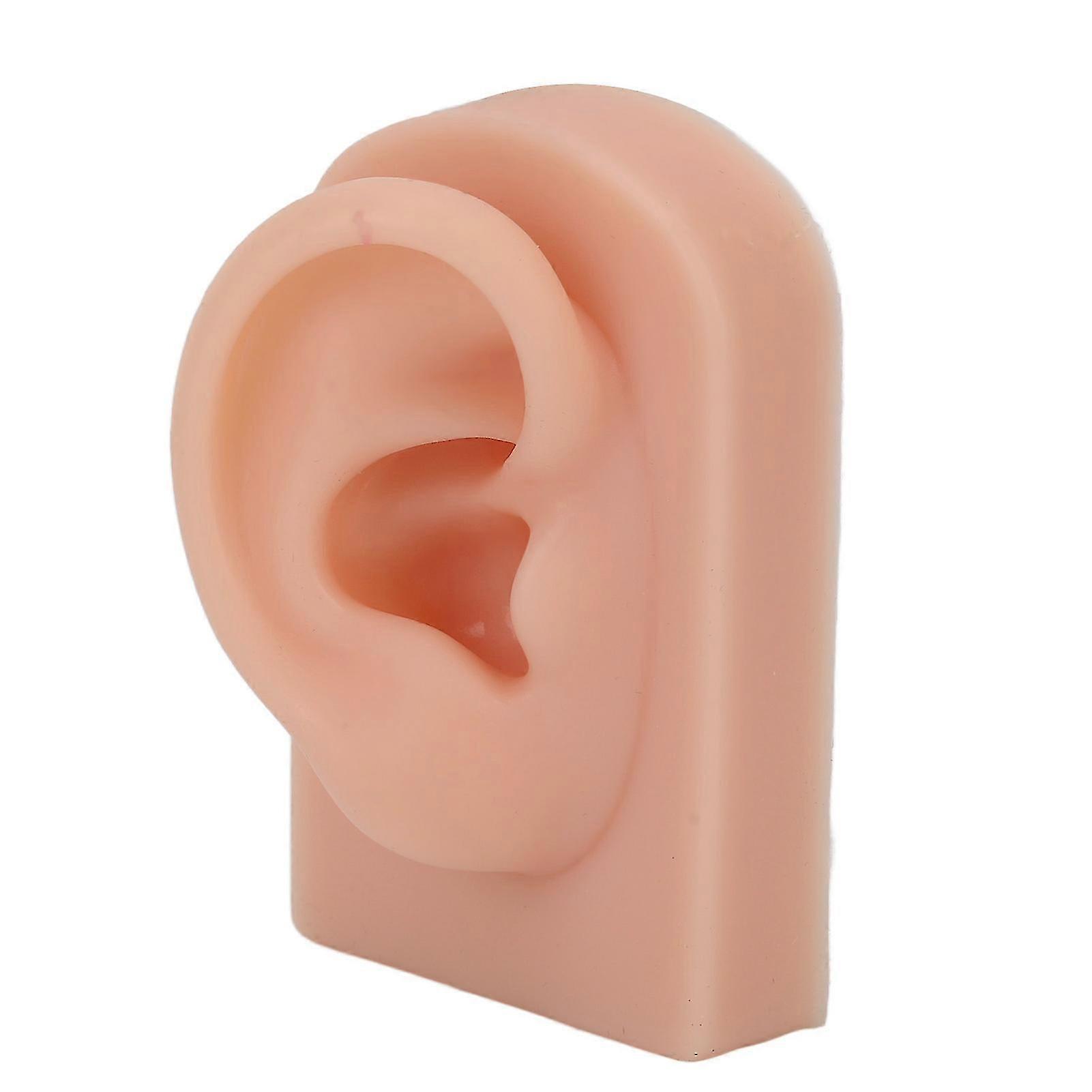 Silicone Ear Model Soft Flexible Right Ear Reusable Human Ear Model for Ear Piercing Training And Earrings Display Dark Complexion