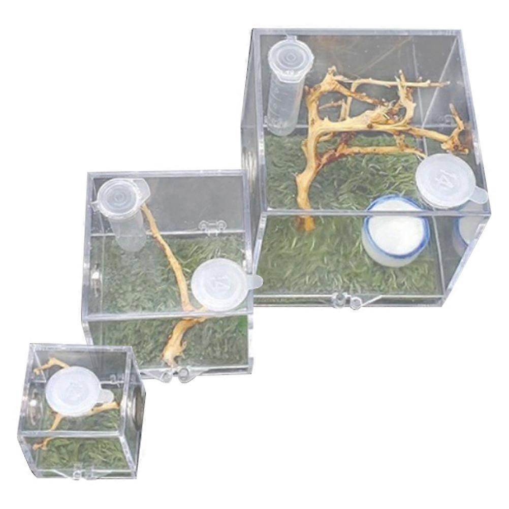 3pcs Transparent Acrylic Spider Breeding Box with Ventilated Sides for Reptile Feeding Enclosure Insects Spiders Beetles Small Bugs