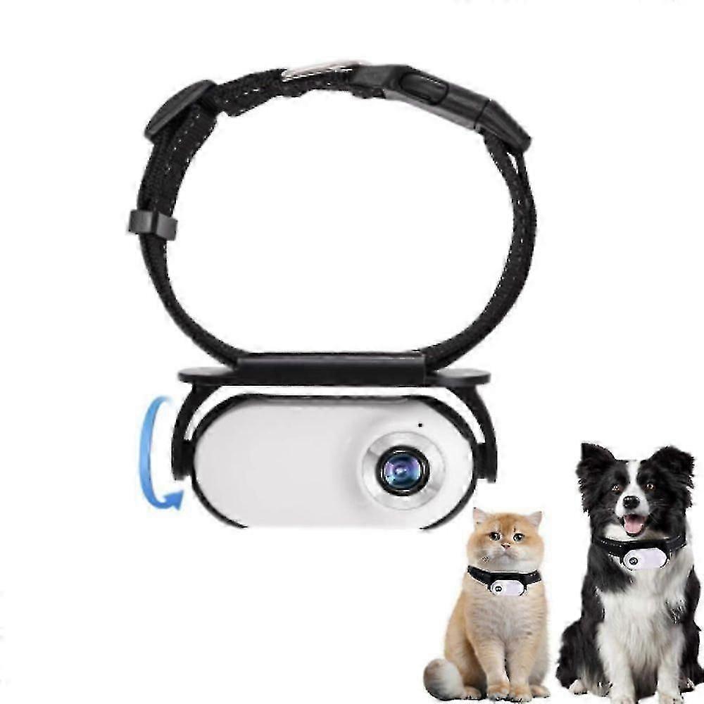 Catcam Pro, Cat Cam Pro 2.0, Hd 1080p Video Camera Mini Collar Camera
