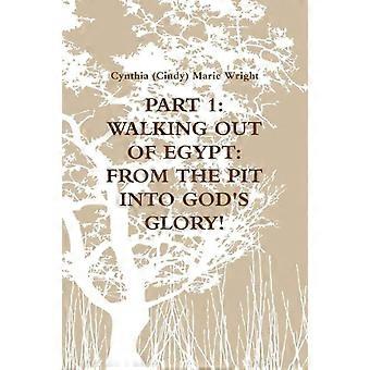 Part 1 Walking Out Of Egypt From The Pit Into God's Glory - Cynthia - Paperback - en Book