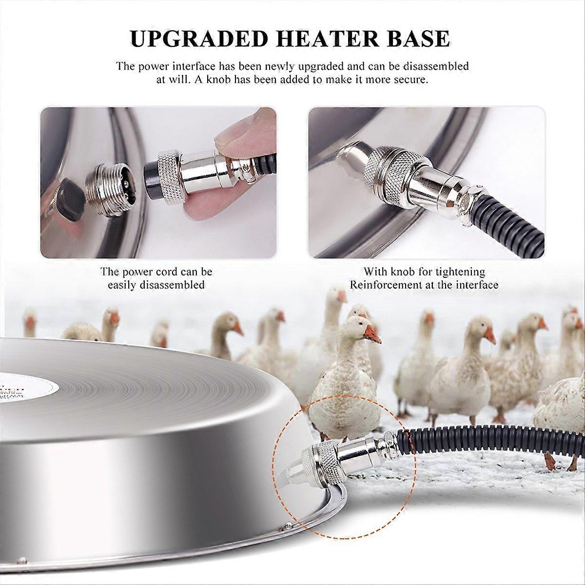 Poultry Animals Chicken Drinking Heating Water