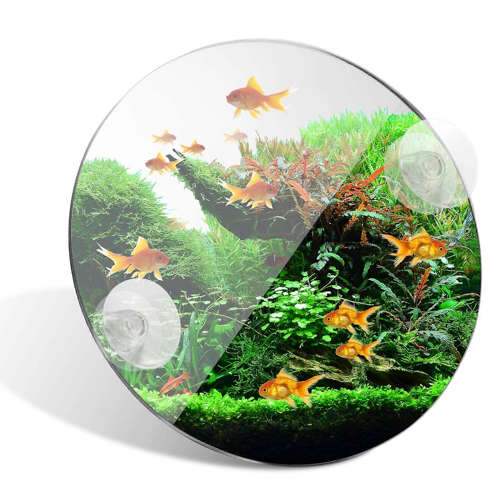 Betta Fish Mirror Acrylic Tank Mirror for Training with Suction Cups