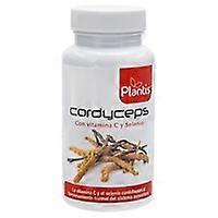 Cordyceps 60 capsules