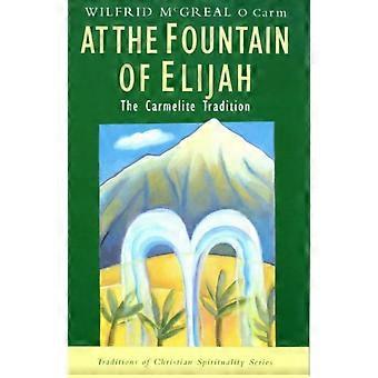 At The Fountain Of Elijah The Carmelite Tradition - Wilfrid McGreal - Paperback - en Book