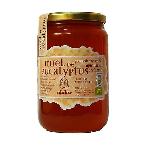 Organic Eucalyptus Honey 1 kg