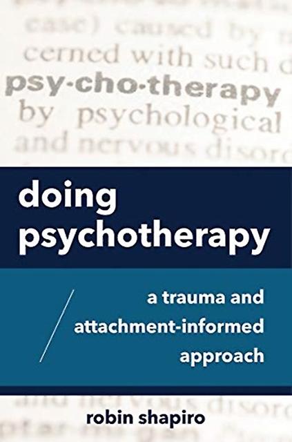 Doing Psychotherapy by Robin Shapiro Paperback