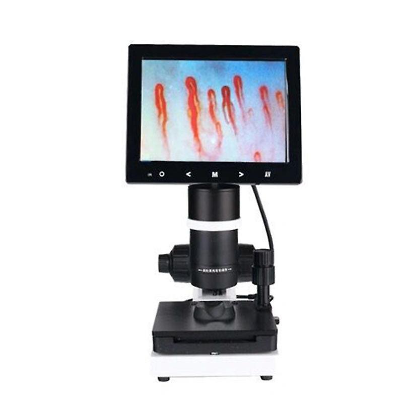 Screen Zoom Nailfold Capillary Detector Blood Microcirculation Analyzer Digital Microscope