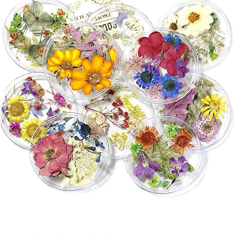 Nail Decorations For Nail Art Ins Style 24 Natural Beautiful Little Daffodils Flowers