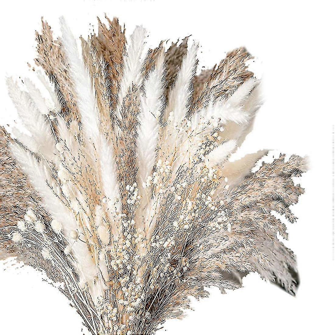 100pcs Natural Dried Pampas Grass Bouquet Dried Flower Compatible Wedding