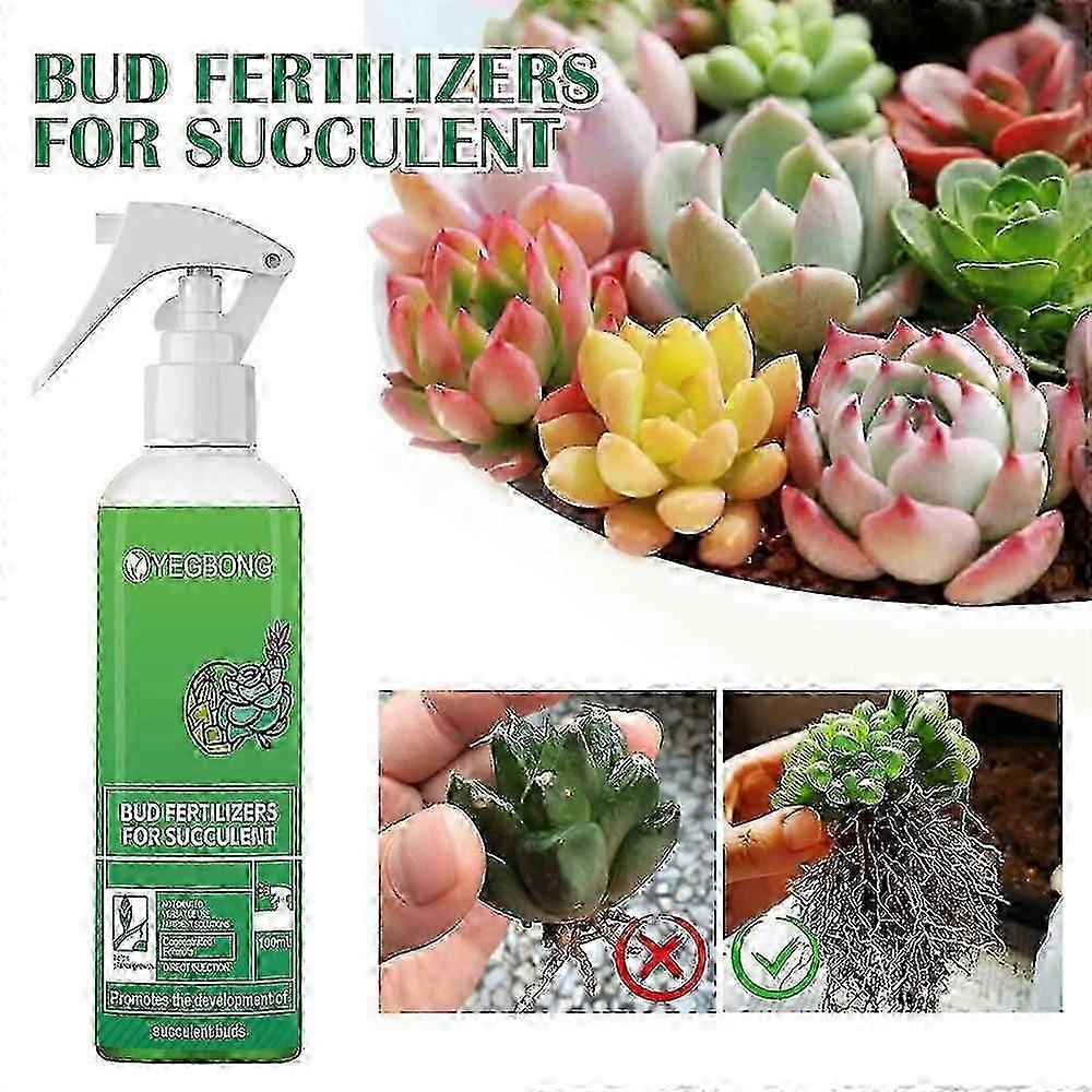YEGBONG Succulent Plant Bud Fertilizer Plant Nutrient Solution Succulent Foliage-7327481944214