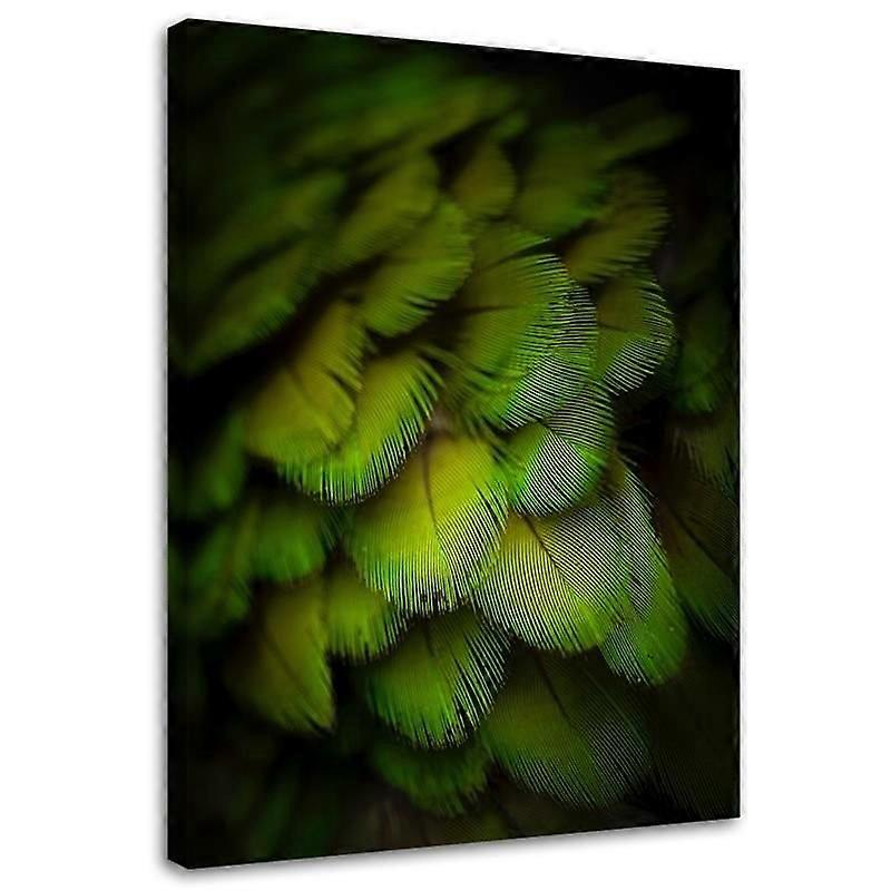 Impression sur toile, Plumes vertes décoratives - 60x90