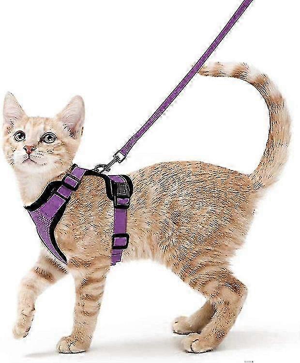 Adjustable Escape-proof Cat Harness with Leash for Kittens (XS-S)