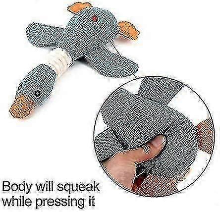 強くて攻撃的な噛みつき犬のための壊れない小型犬用おもちゃとキーキーガチョウ