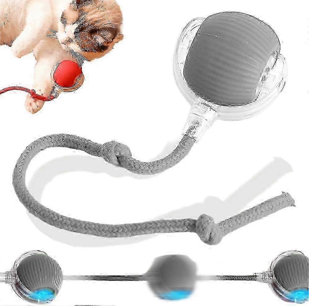 Electric Interactive Rolling Dog Ball Smart Automatic Rolling Ball Toy for Dog/Cat