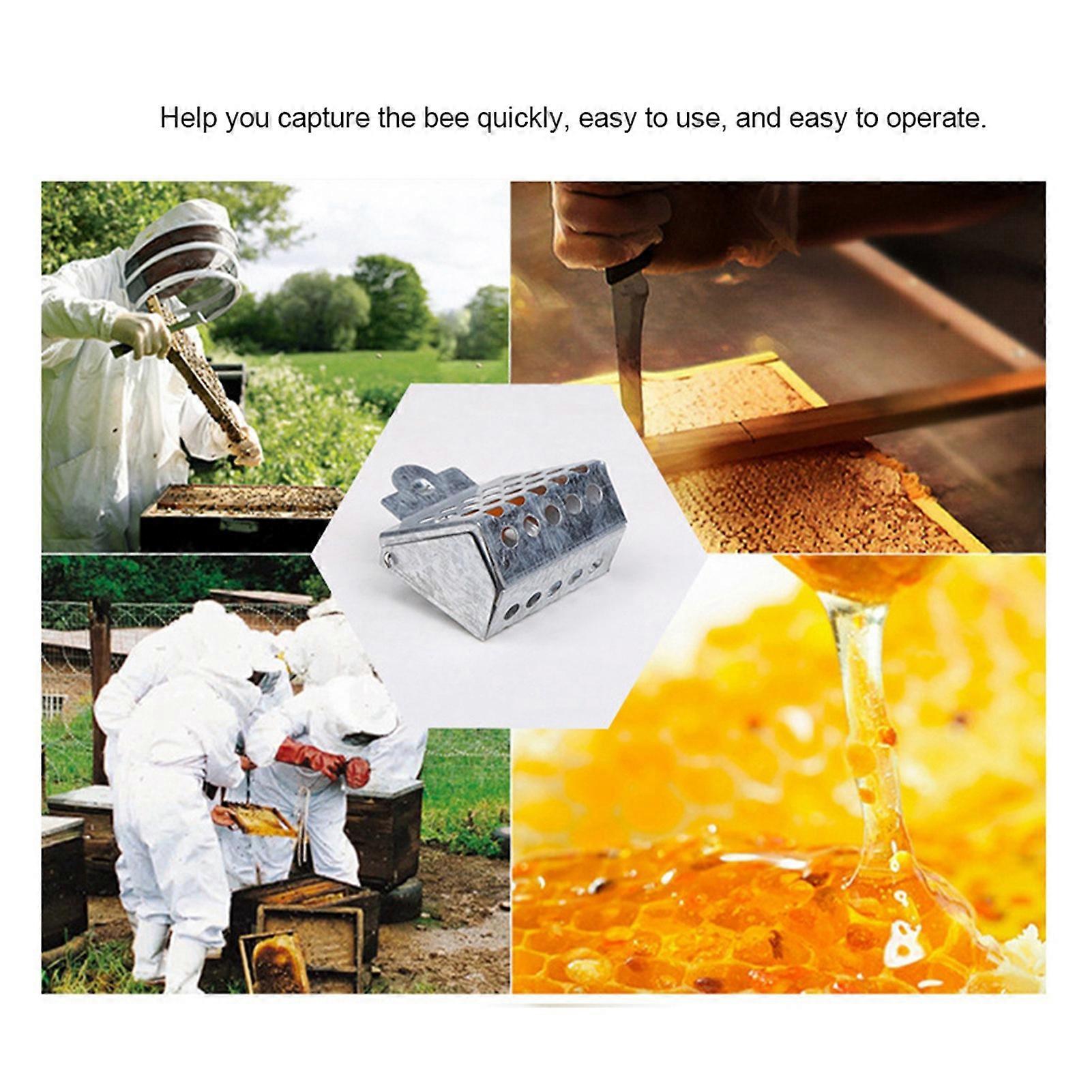 Galvanized Iron Queen Bee Catcher Clip 5.5x5cm Beekeeping Tool