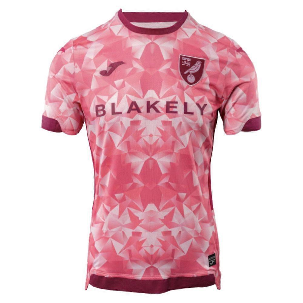 2025-2026 Norwich City Third Shirt