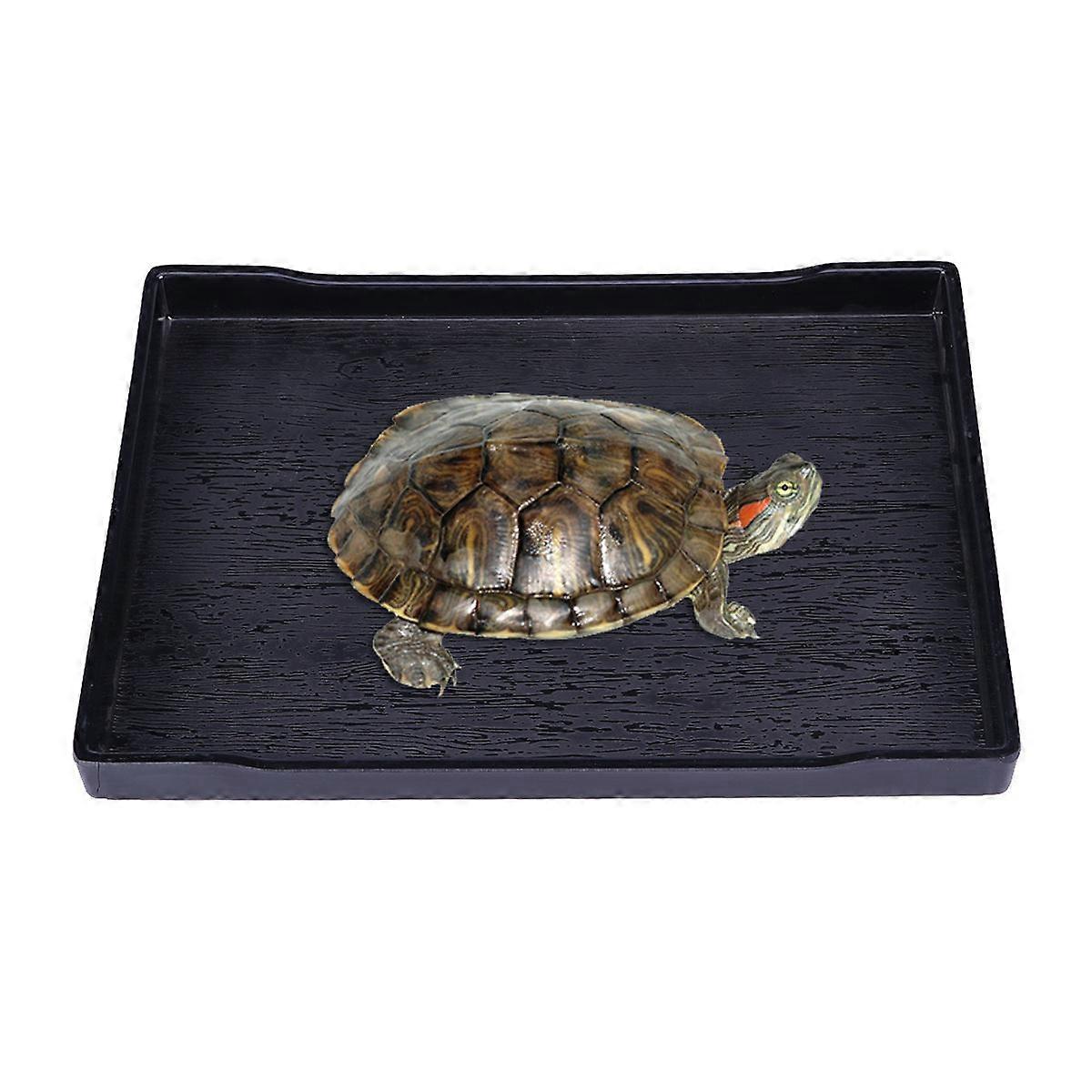 Dish Reptile Bowl Simple Design Unbreakable For Drinking 1Set