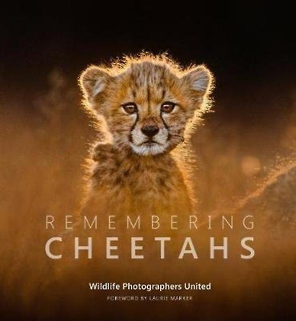Remembering Cheetahs Hardback Book