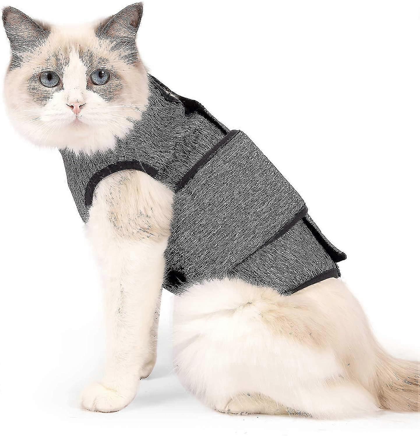 Cat Comfort Clothes