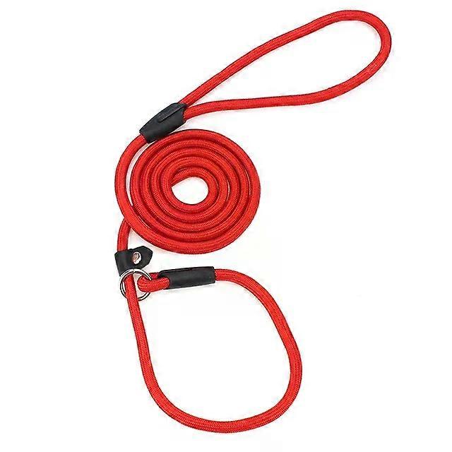 Unbrand Nylon Dog Training Leash P Chain Pet Outdoor Walking Supplies for Small Medium Dogs Border C