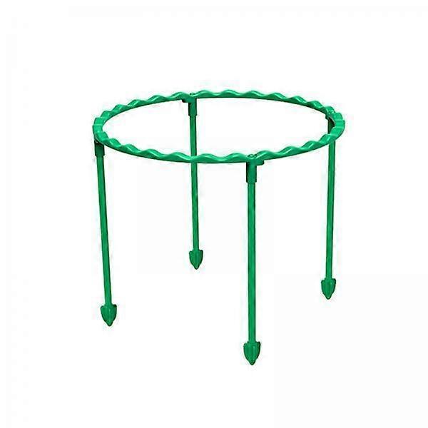 Tomato Support System for Plant Growth