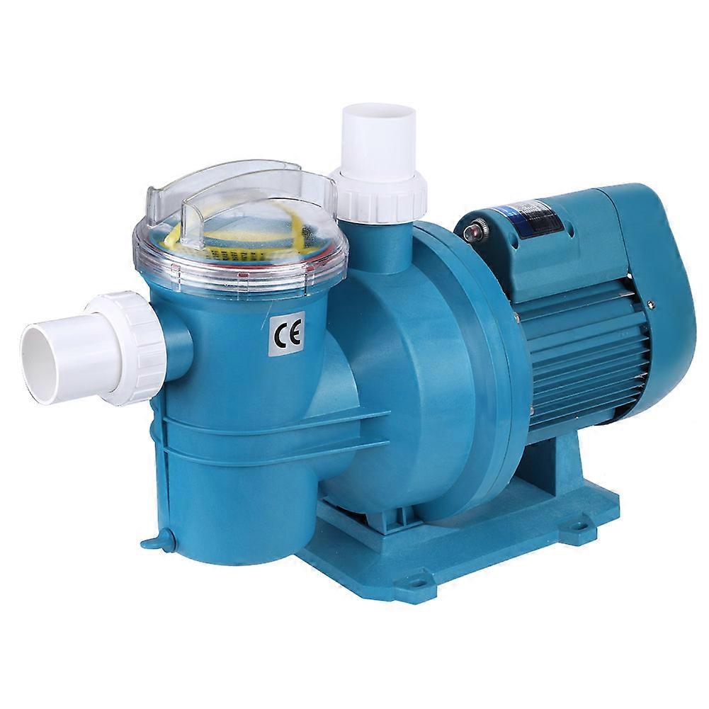 Swimming Pool Filtration Circulating Water Pump Water Treatment Equipment with Suction220V 50Hz